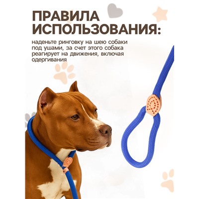Ринговка для собак, 150×1.2 см, синяя