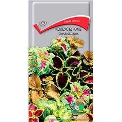 Колеус Блюме Смесь окрасок (Код: 93782)