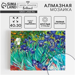 Алмазная мозаика с полным заполнением на холсте «Ирисы», 30×40 см
