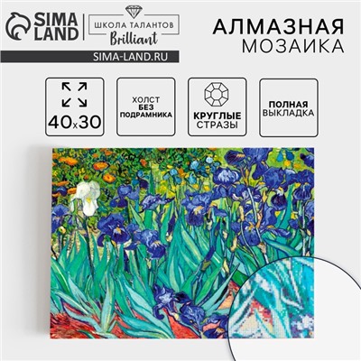 Алмазная мозаика с полным заполнением на холсте «Ирисы», 30×40 см