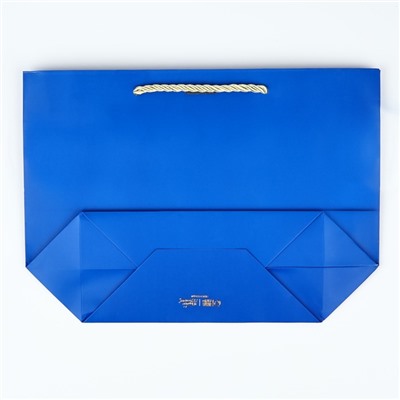 Пакет подарочный новогодний «Благополучия в Новом году», 19×20×9 см