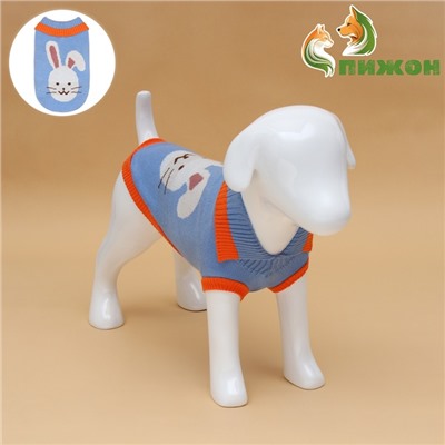Свитер для животных «Зайка», размер L, ДС 29, ОШ 29, ОГ 29-49 см, голубой