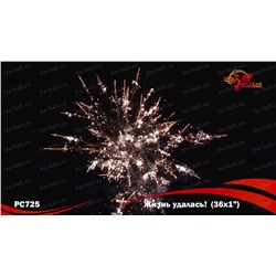 Фейерверк РС7240 Жизнь удалась! (1" х 36)