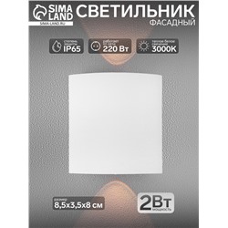 Светильник фасадный «Полусфера», FSD-007, 2 Вт, 3000К, 1 луч, IP65, 220 В, металл, белый