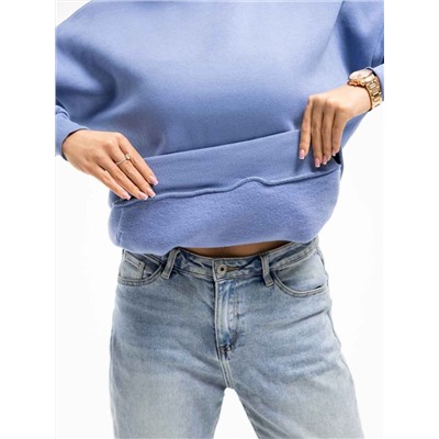 Текс-плюс Толстовка НФ-00027360