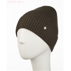 05726 1S SHM Дарвин Шапка мужская (58-60)