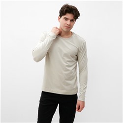 Лонгслив мужской MIST Men's casual размер 56, серо-бежевый