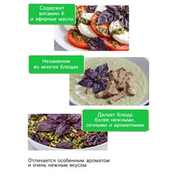 Семена Базилик овощной «Арарат», 0.2 г, «Рецепты дедушки Никиты»