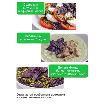 Семена Базилик овощной «Арарат», 0.2 г, «Рецепты дедушки Никиты»