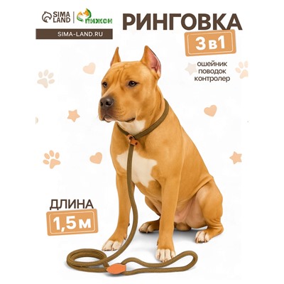 Ринговка для собак, 150×1 см, бежевая