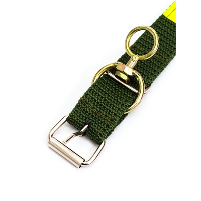 Ошейник двухслойный с вертлюгом, 2.5 см, зелёный