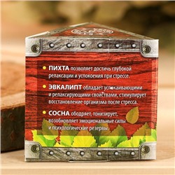 Набор 3 эфирных масла 10 мл «Банный запас» пихта, эвкалипт, сосна