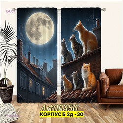 Фотошторы 3д 2046416-3