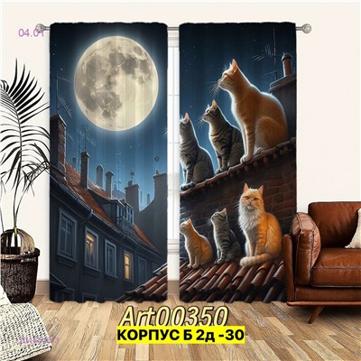 Фотошторы 3д 2046416-3