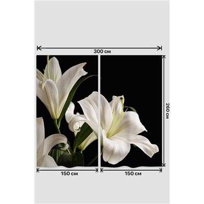 Натали Шторы 10837