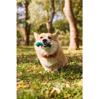 Игрушка для собак «Утка», 17 см, пищащая, латекс, синяя