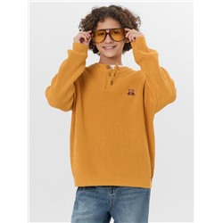 ДЖЕМПЕР ДЛЯ МАЛЬЧИКОВ 123492