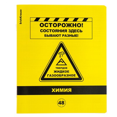 Комплект предметных тетрадей 48 листов, 12 штук, ErichKrause Be Informed
