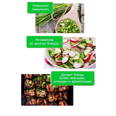 Семена Лук-батун «Русский зимний», 0.5 г, многолетник, «Рецепты дедушки Никиты»