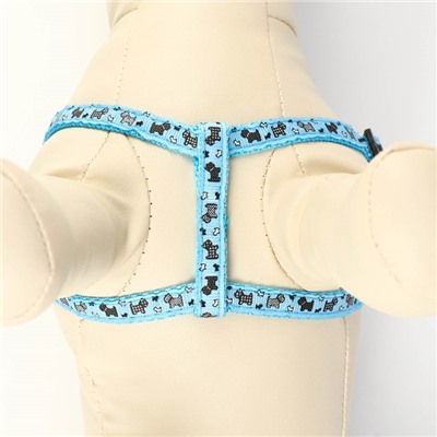 Комплект «Собачки», ширина 1 см, поводок 1.2 м, шлейка 23-35 см, голубой