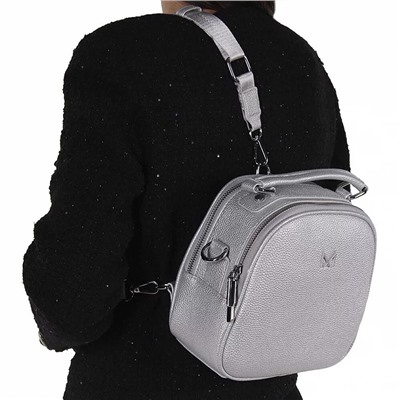 Рюкзак 8166CD silver Alex&Mia