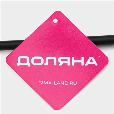 Держатель для полотенец Доляна, на дверцу, чёрный