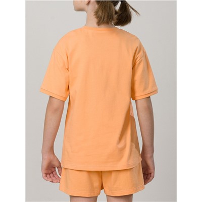 PELICAN Комплект WFATH4317U