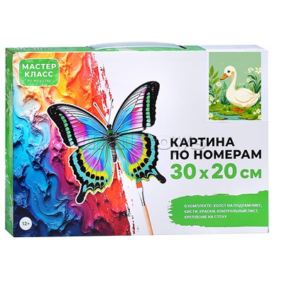 Набор для рисования "Картина по номерам 30х20 см. Утка"