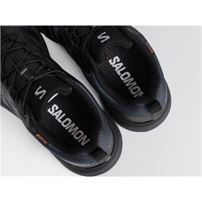 Кроссовки Salomon X ADVENTURE GTX