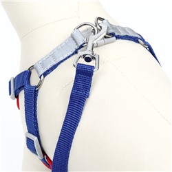 Комплект Sport+, L, поводок 120×1.5 см, ОШ 49-56 см, ОГ 56-68 см, вес животного 20-28 кг, синий 9