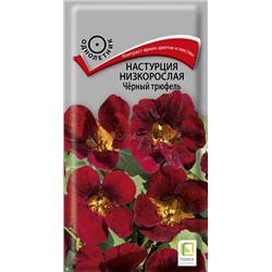 Настурция Черный трюфель низкорослая (П)