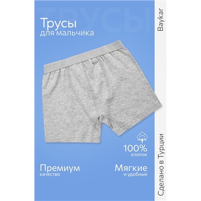 Хлопковые трусы-боксеры для мальчика Baykar