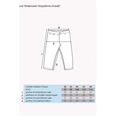 Бриджи 2шт. АПРЕЛЬ, 990373