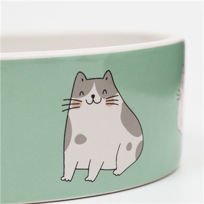 Миска «Котяры», 300 мл, 12.5×12.5×4.5 см, керамика, зелёная, белая