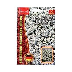Семена цветов Алиссум Гига Белый (Giga White)  5м.др. 12.29 г.