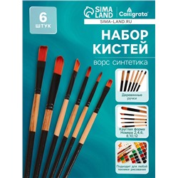 Набор кистей нейлон 6 штук: 2 круглые, 4 плоские