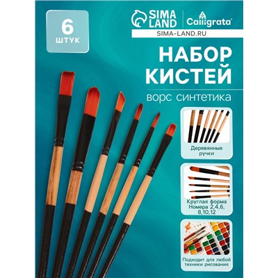 Набор кистей нейлон 6 штук: 2 круглые, 4 плоские