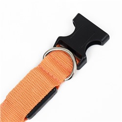 Ошейник с подсветкой Двойная полоса размер XL, ОШ 52-60×2.5 см 3 режима свечения оранж