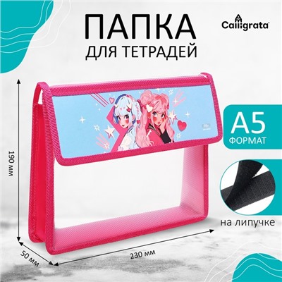 Папка для тетрадей, А5, пластиковая, 23×19×5 см «Аниме подружки»
