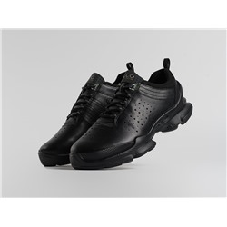 Зимние Кроссовки Ecco Biom