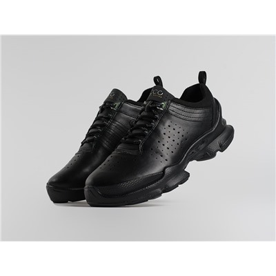 Зимние Кроссовки Ecco Biom