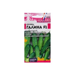 Семена огурца "Галина", F1, 5 шт.