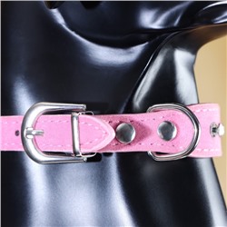 Ошейник «Бархат и стразы», 31×1.3/2 см, ОШ 22-28 см, розовый