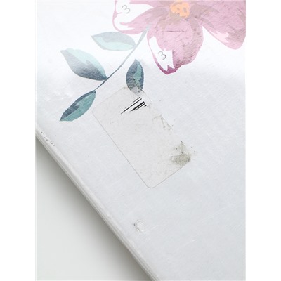 УЦЕНКА Картина по номерам 40×50 «Весеннее аниме», 26 цветов