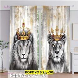 Фотошторы 3д 2046487-8