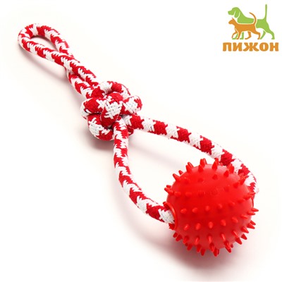 Игрушка канатная «Узел с массажным шариком», до 31 см, до 65 г, микс цветов