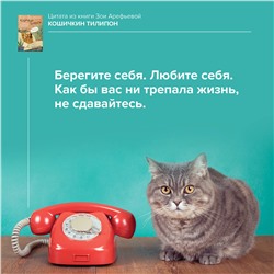 АСТ Зоя Арефьева "Кошичкин тилипон. Правдиви истори о котиках и их никчемни. Экспресс-помощь для тех, кто застрял в рутине и ищет вдохновение"