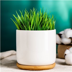 Горшок для цветов «Эко» керамический, 500 мл, 10×9.5 см, с деревянной подставкой, белый