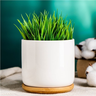 Горшок для цветов «Эко» керамический, 500 мл, 10×9.5 см, с деревянной подставкой, белый