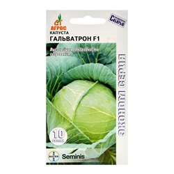 Семена Капуста белокочанная, «Гальватрон», F1, 10 шт., Seminis, «Агрос»